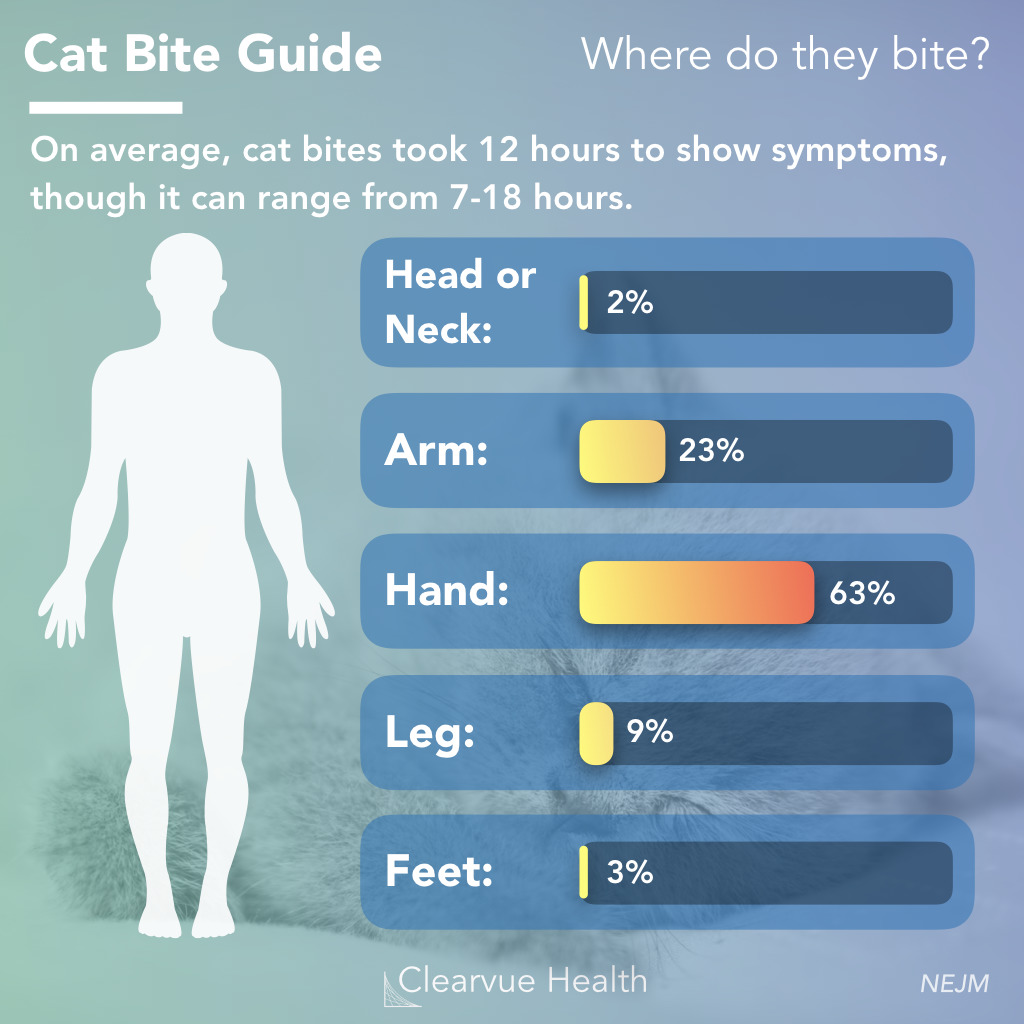 cat bite locations