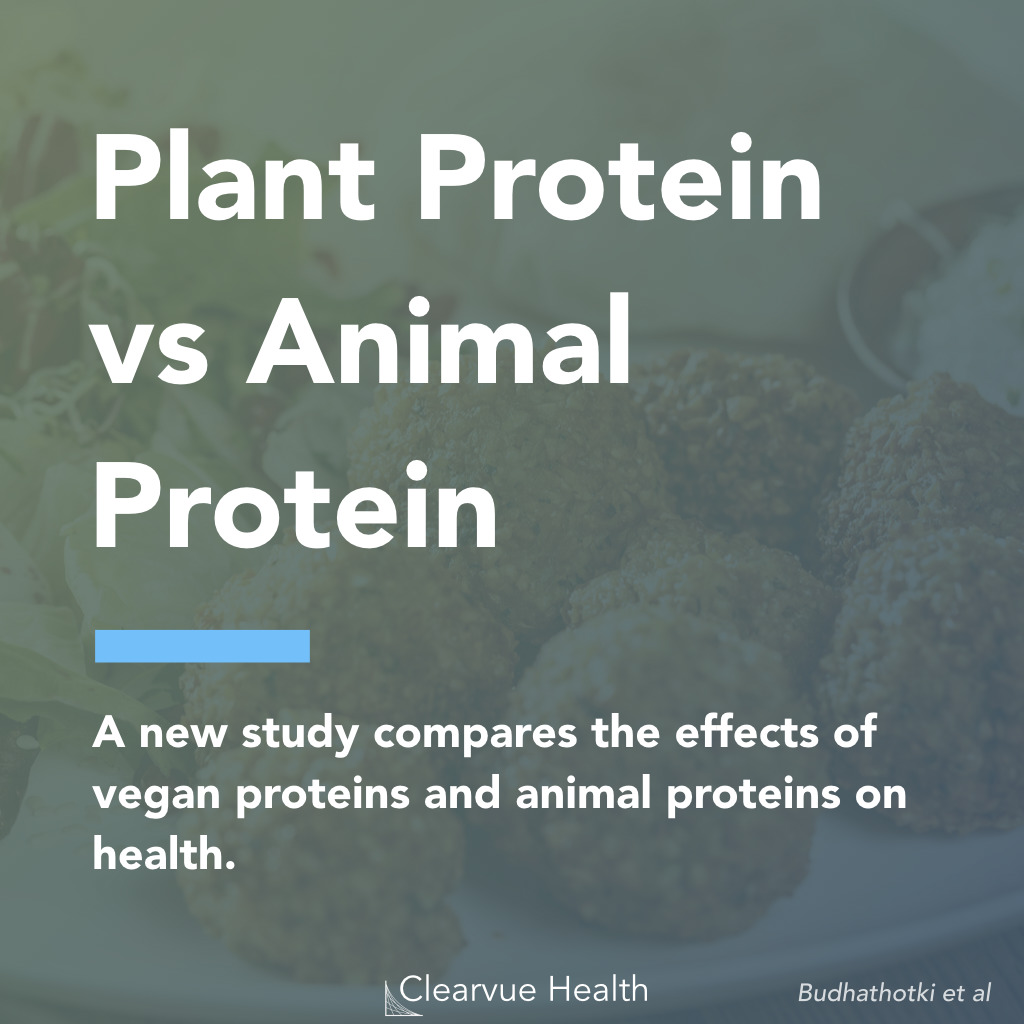Vegan Protein vs Animal Protein