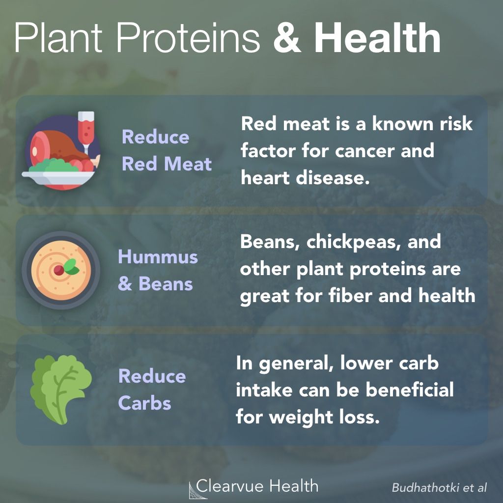 Vegan Protein Health Tips