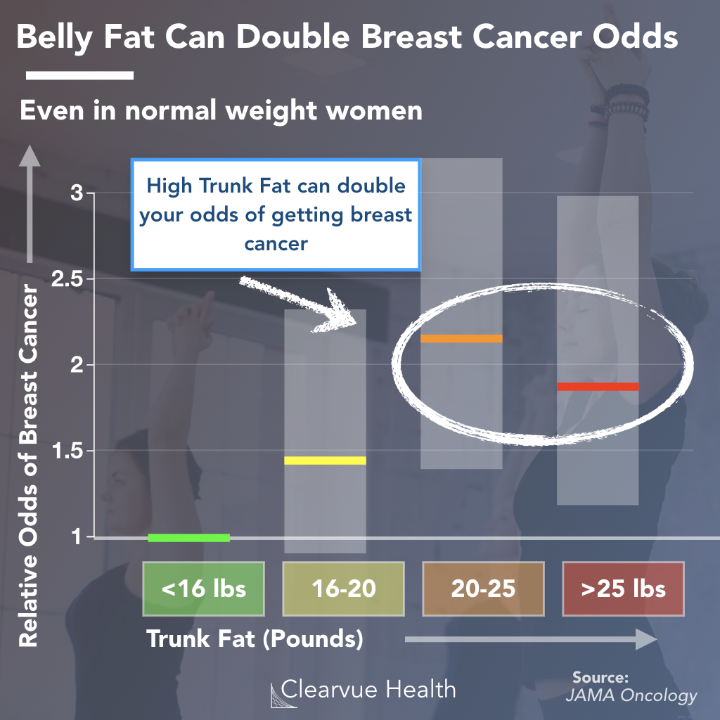 Fat Increases Risk of Breast Cancer, Even in Normal Weight Women