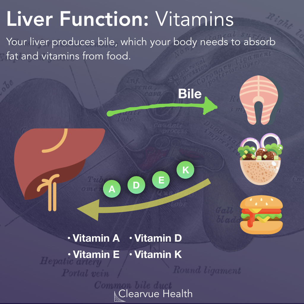 5 Slides Top 5 Functions Of The Liver Visualized Science